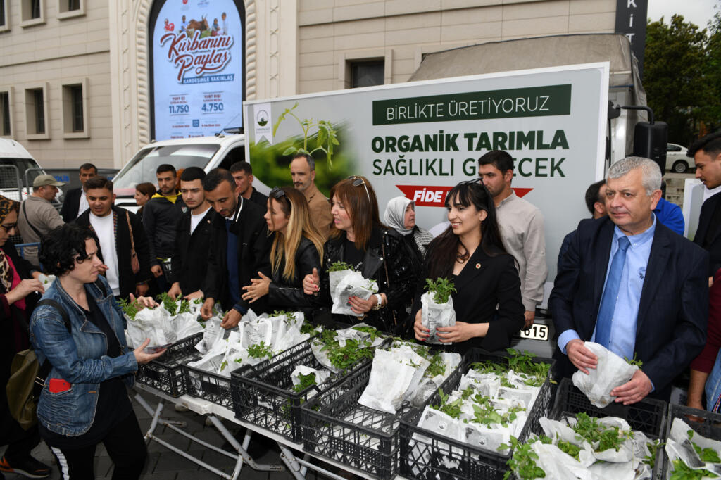 Ata tohumlarından üretilen fidelere büyük ilgi